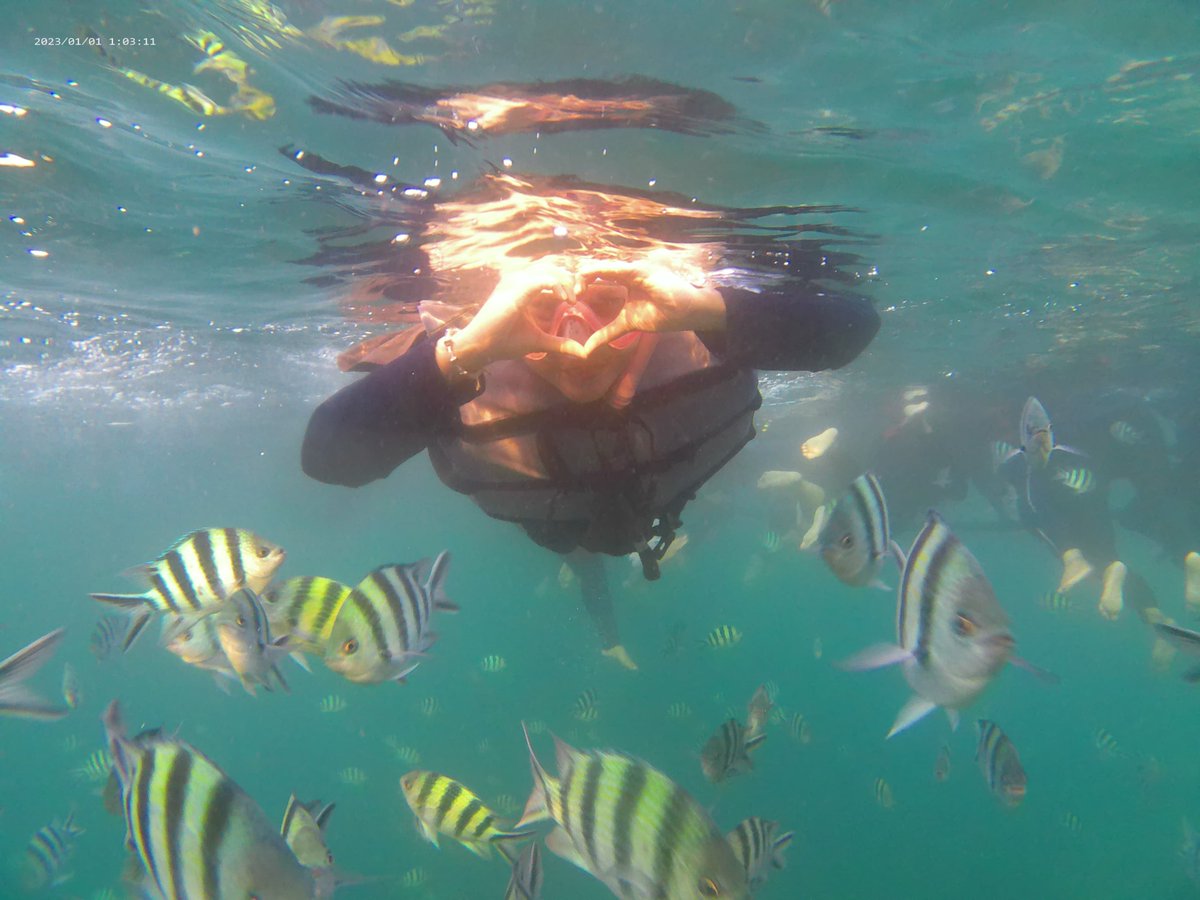 Azaleatjannah's tweet photo. 🐠 https://t.co/c4hKyhJTk8