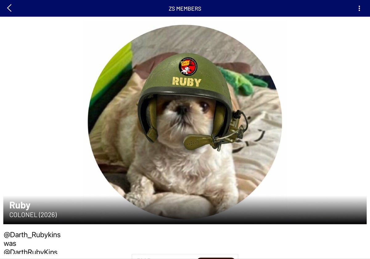 Miss Muddles 🐶🎀💕💖 #ZSHQ General tweet media