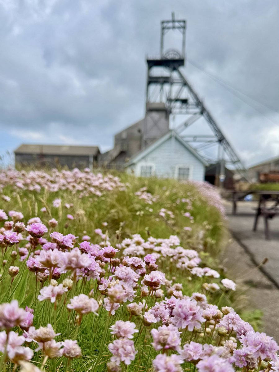 TanyaAtTheBeach's tweet photo. Geevor! Ansum place 🥰 #GeevorMine #bankholidayMonday https://t.co/FRtyleQdtL