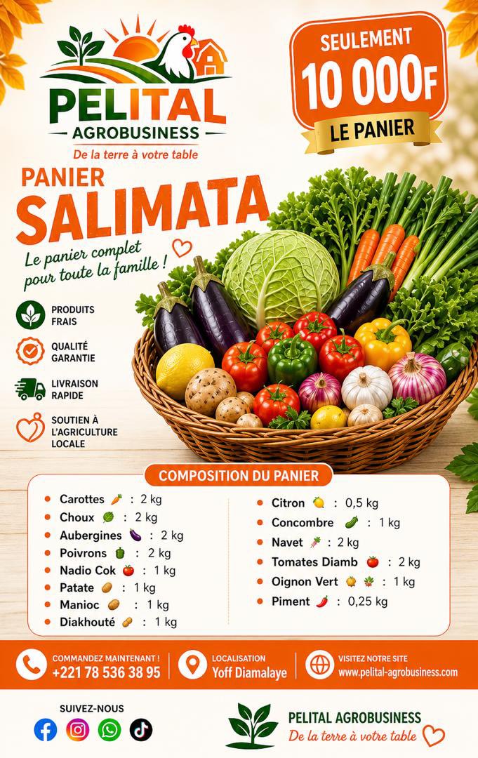 Salimata Dieng tweet media