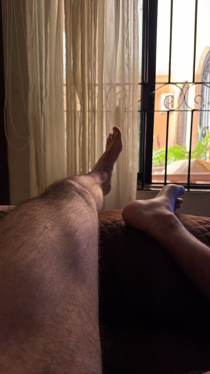 el barbón pelón tweet media