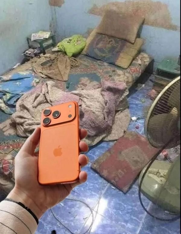 0xSamir tweet media