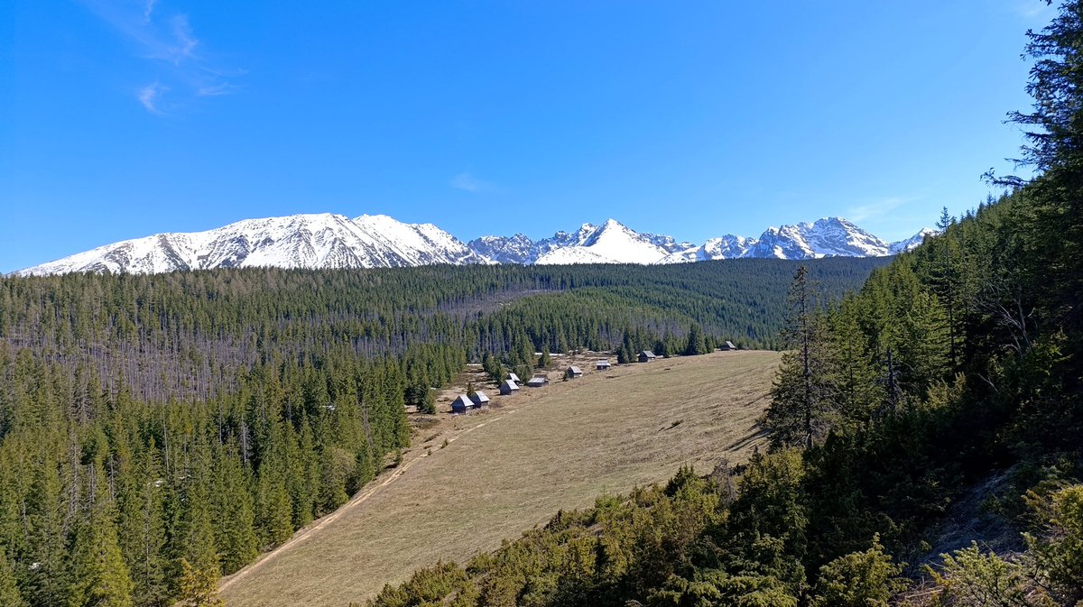 patrzę na Tatry tweet media