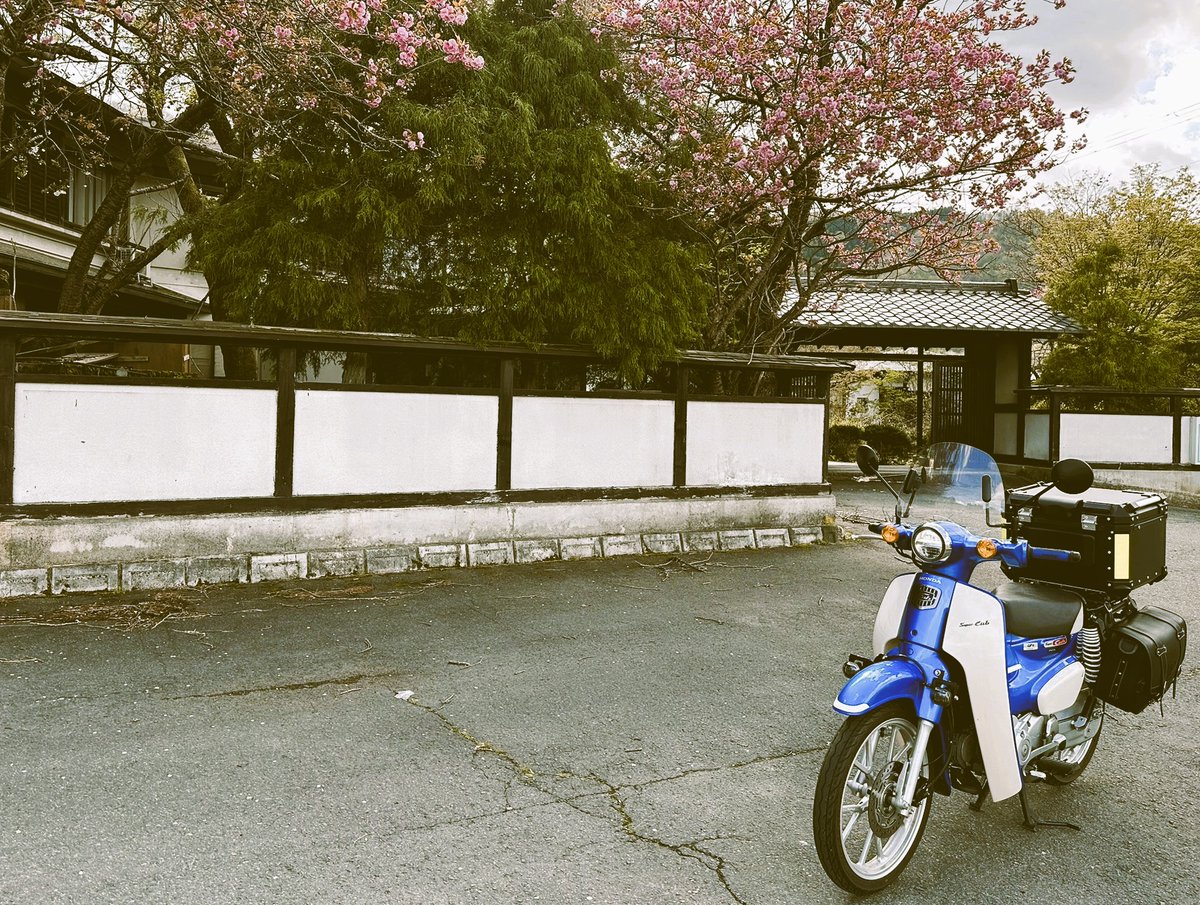 バイクのある風景 わずかに雨が止んだので 蒼さんとお散歩しました