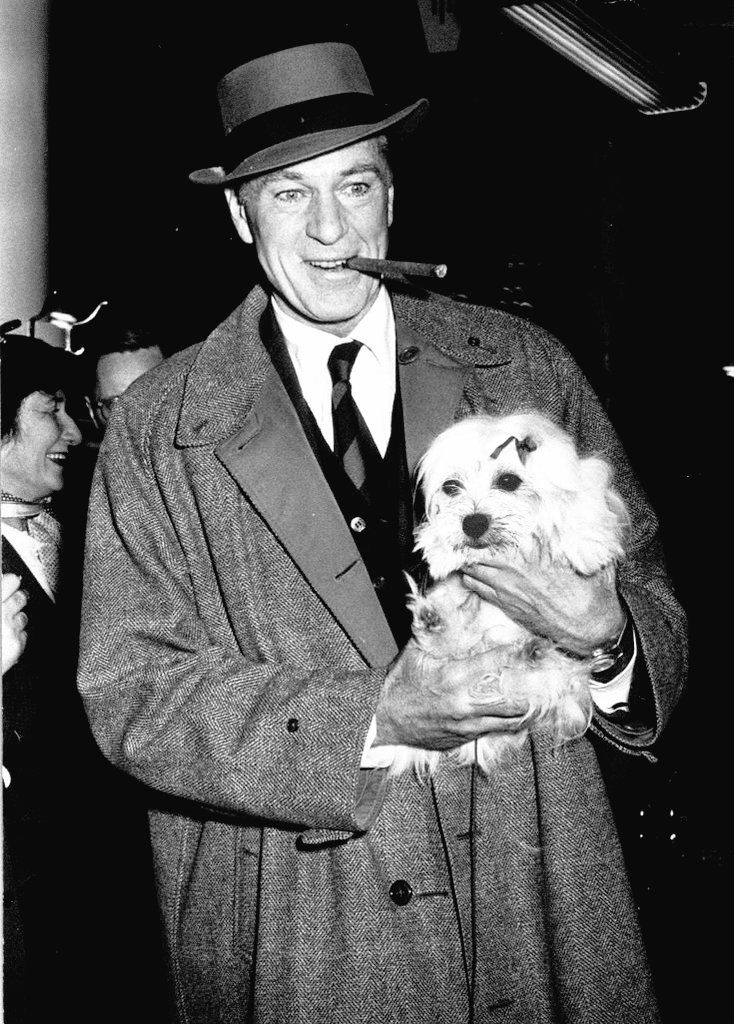 acervy gary cooper tweet media
