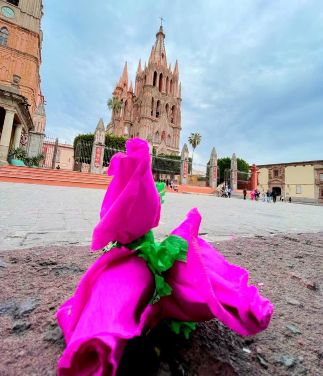 NewsSanmiguel's tweet image. #HOLA.- 🔴 MUY BUENOS DÍAS. saludos a todos en esta mañana de lunes, de asueto para muchos y de chamba para otros.
🔴 Que pases un excelente día y vámonos, que es la hora de ir por un rico #cafecito.

#sanmigueldeallende  #felizlunes