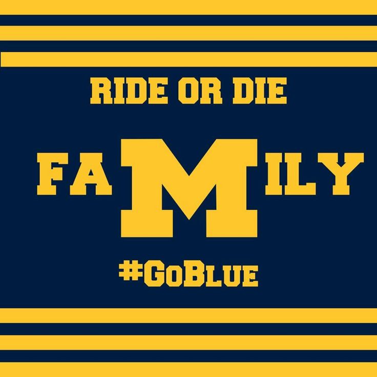 419.MAIZE tweet media