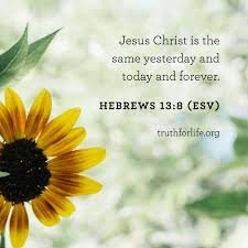 Jenny5465045052's tweet image. then, where should you fly to spiritual experiences for #support, #strength, and #consolation- rising when they #rise, falling when they #fall- when #all your #standing, #joy, #peace, and #hope are entirely out of yourself, and are #solely in #Christ?

#Winslow #spiritualgrowth