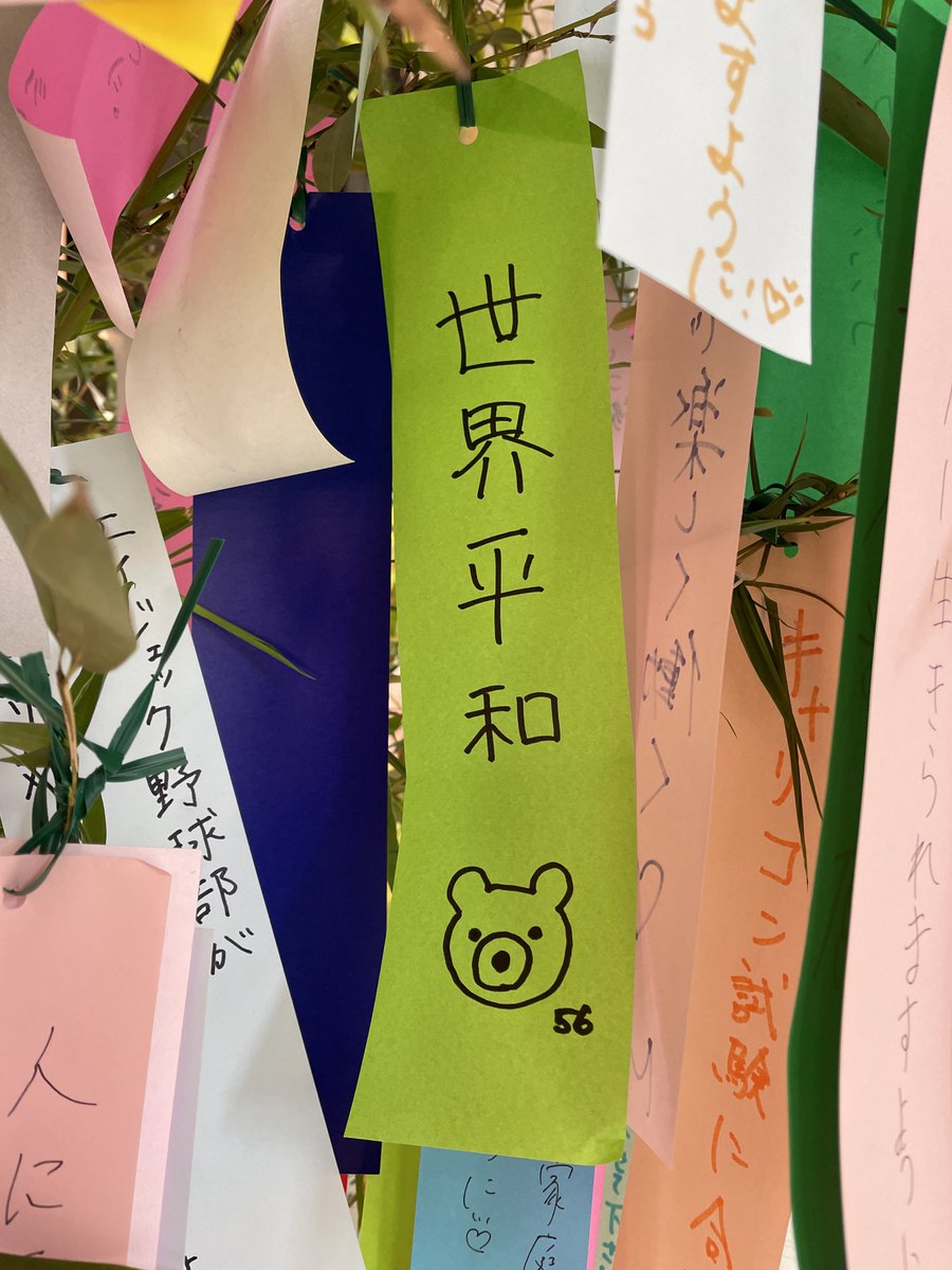 mikako v tweet media