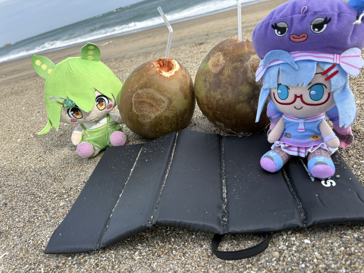 Ma/レアチーズ tweet media
