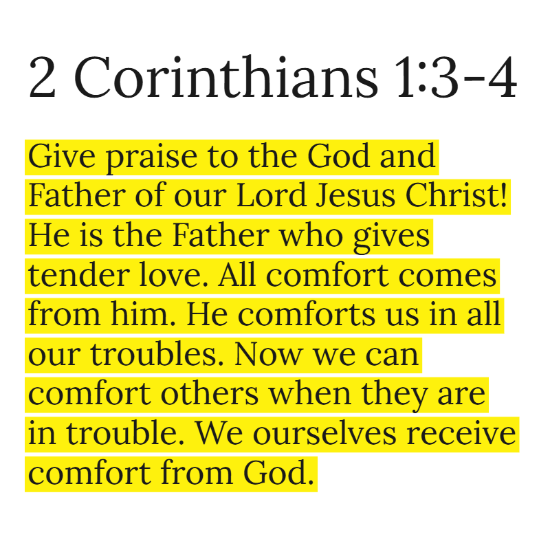 Holy Bible tweet media