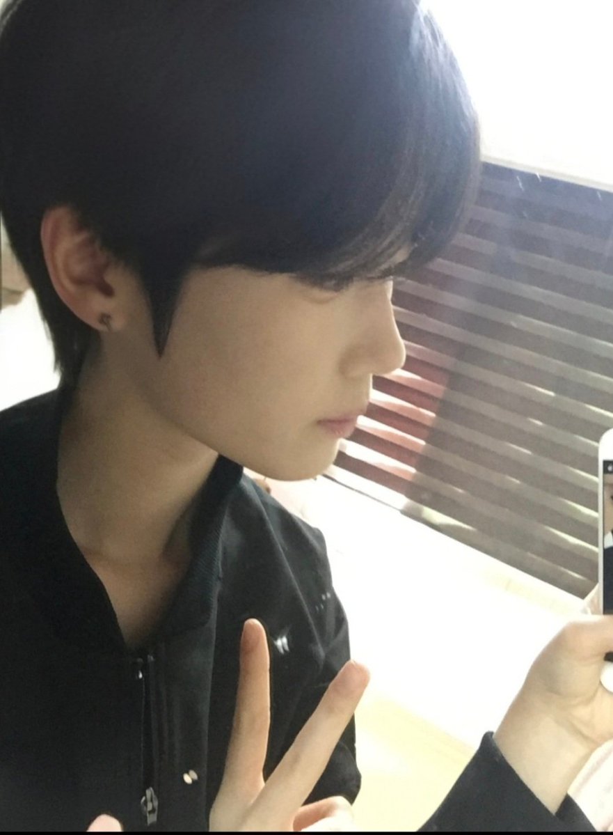 브이