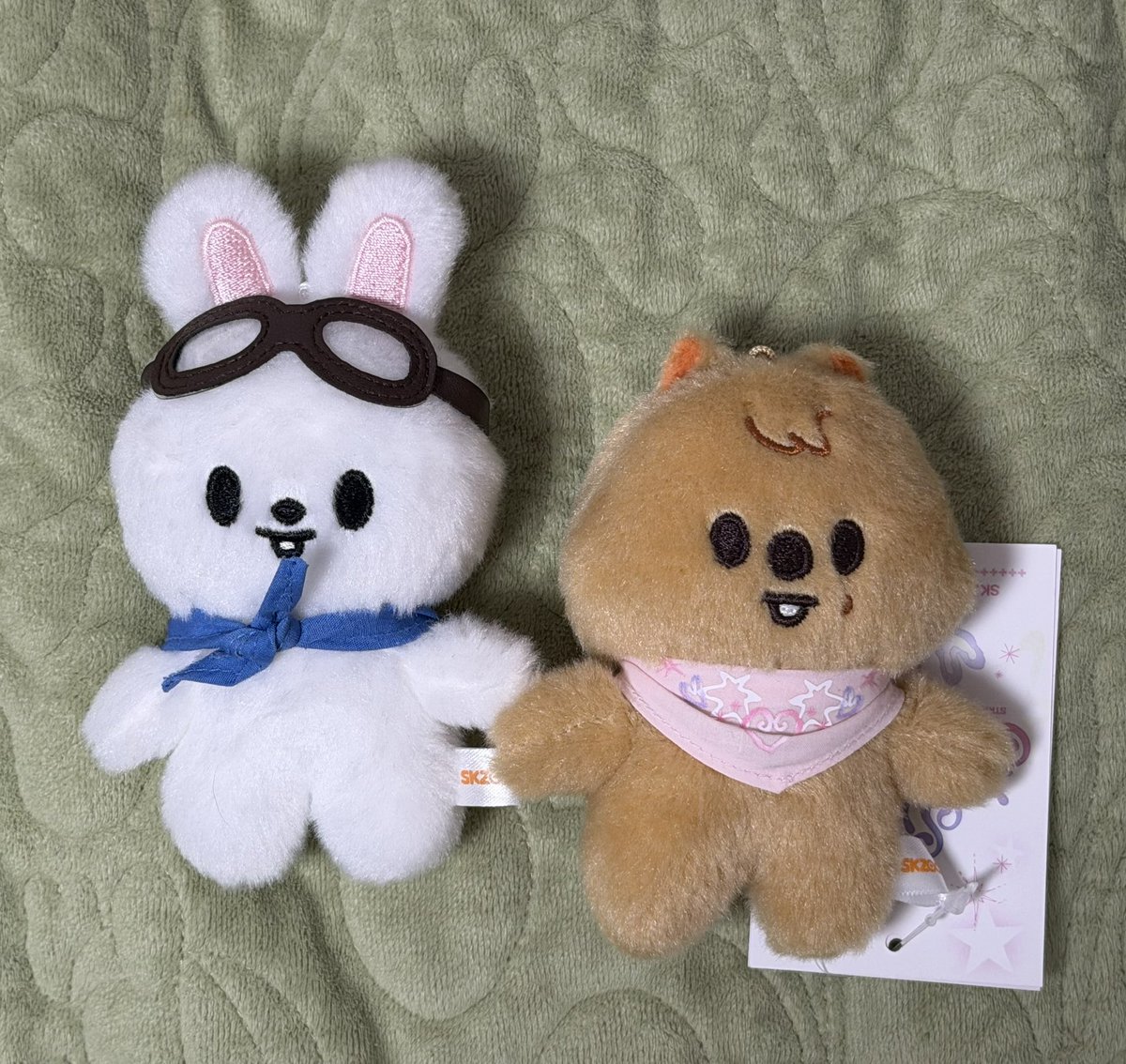 교환&양도계 tweet media