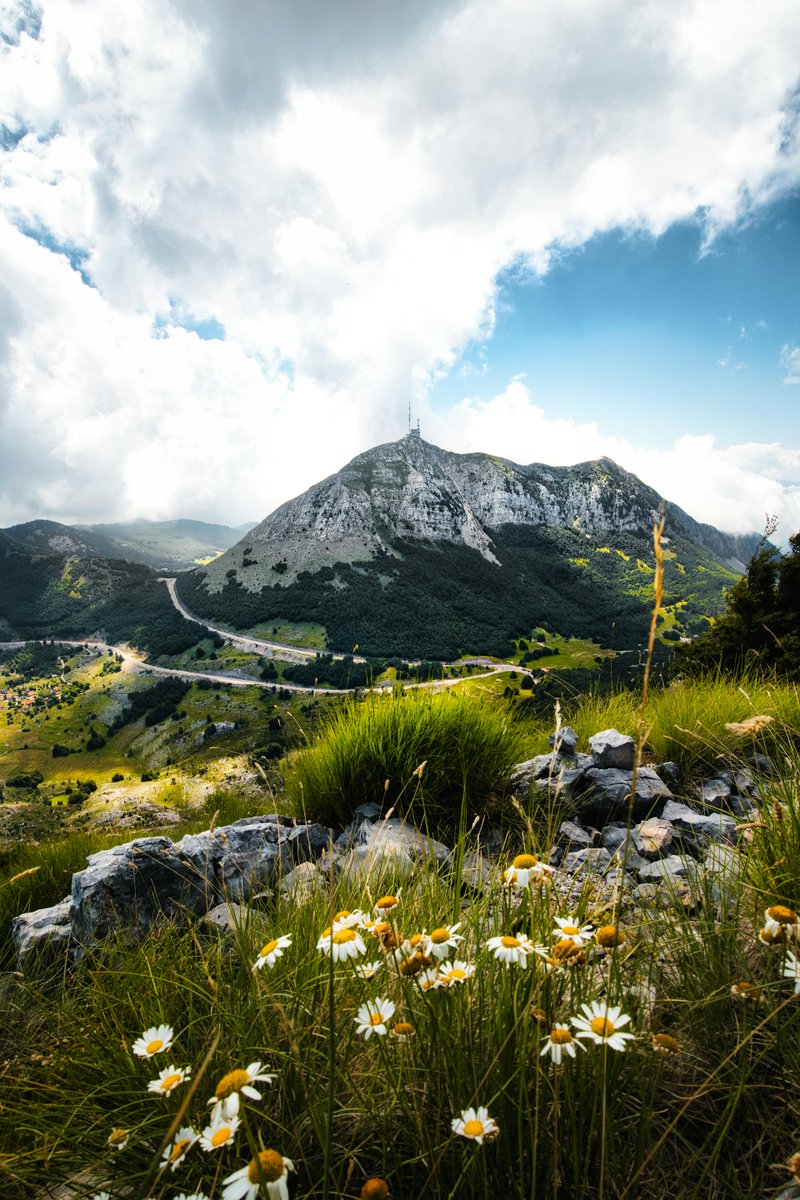 emily_anna1995's tweet image. Find peace in the simple things 🌱
#nature