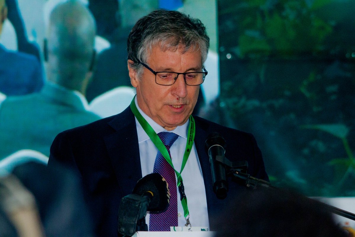 Ireland in Mozambique tweet media