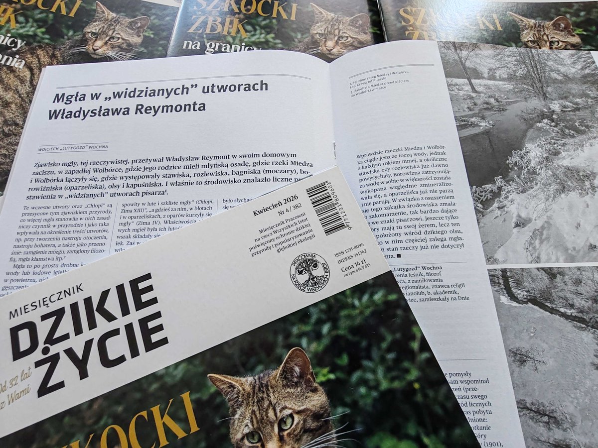 Dzikie Życie tweet media