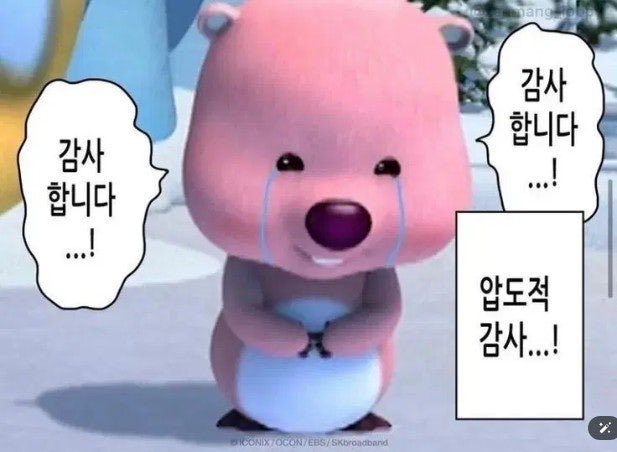 빚갚는미친개 tweet media