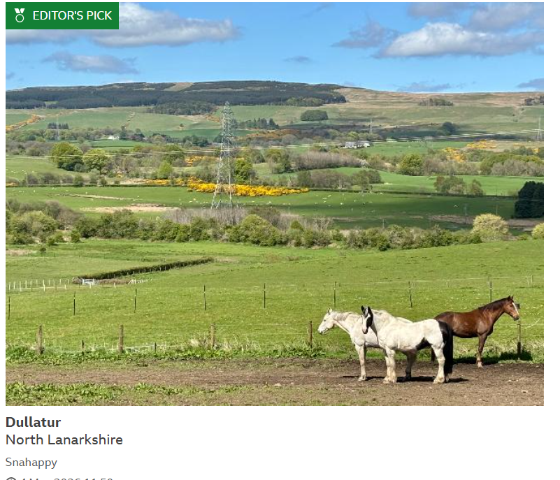 BBC Scotland Weather tweet media
