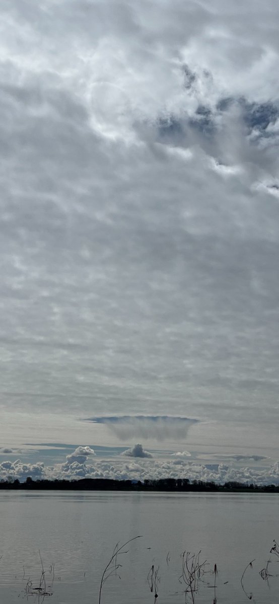 RosesJet's tweet photo. @StormhunterTWN This photo was taken near Montréal yesterday. What is this? https://t.co/H942lqitEB