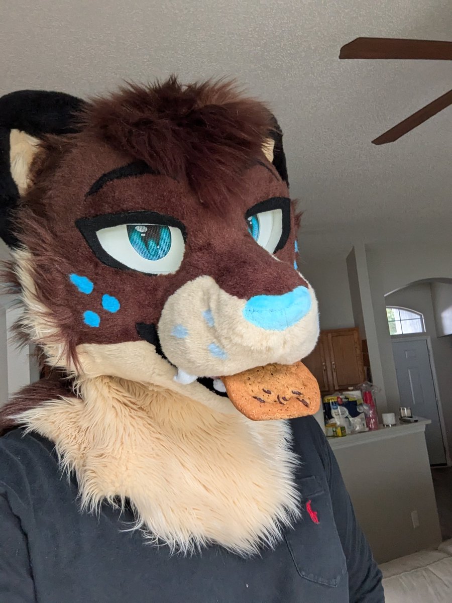 Chep Snep 🍪 🔜 FWA tweet media