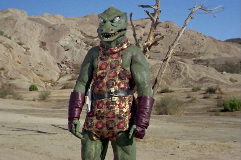 antigenderist tweet media