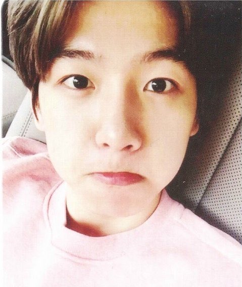 ttㅐ૮₍ . 。.₎ა ྀི tweet media
