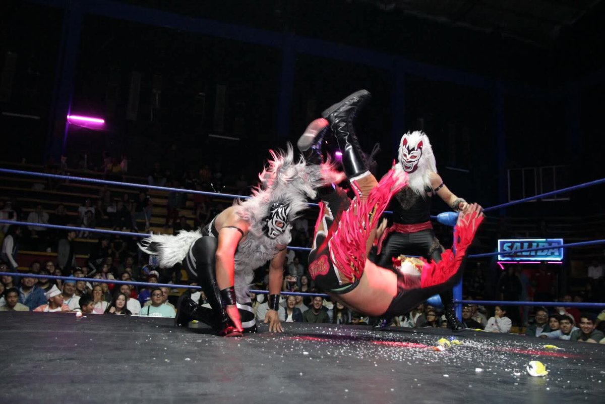 LaTijeraLucha's tweet image. En una tremenda reyerta de facciones en la Arena Neza, #LobitoI,#LobitoII y #LobitoIII se logran imponer a #KikiriBang, #KikiriBoom y #KikiriKid, cuando estos se disponían a festejar llegan TaqueroMalditoJr y CaníbalJr, para darles con todo y trofeo a los de la “manada"
#latijera