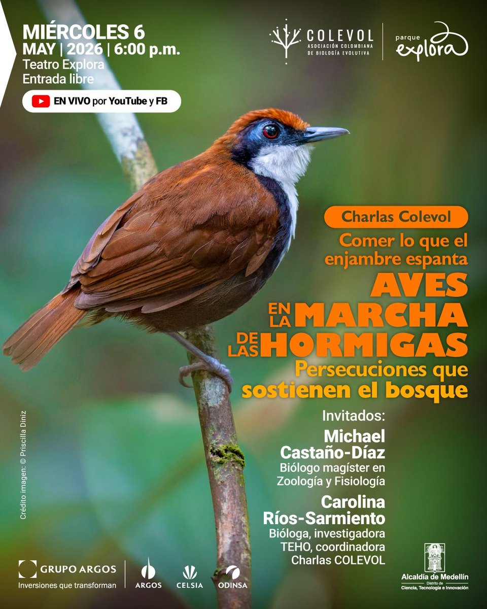 colevol's tweet photo. Este miércoles continuamos con nuestras charlas Colevol con este interesante tema . Les esperamos 💚 @ParqueExplora https://t.co/PTTbo1JibX