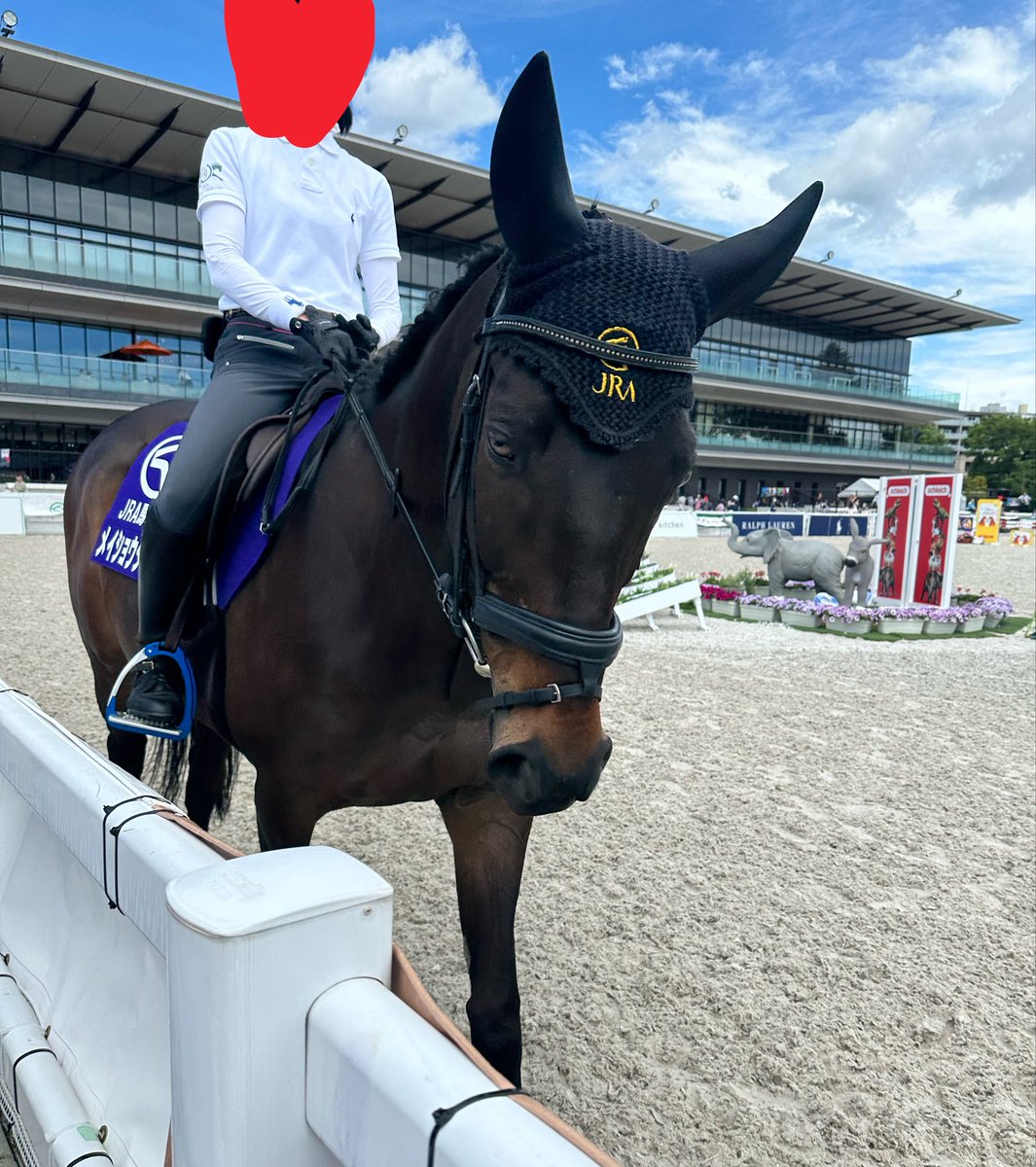 刹那莉織🐣🎡 府中の蹄跡　中-12 tweet media