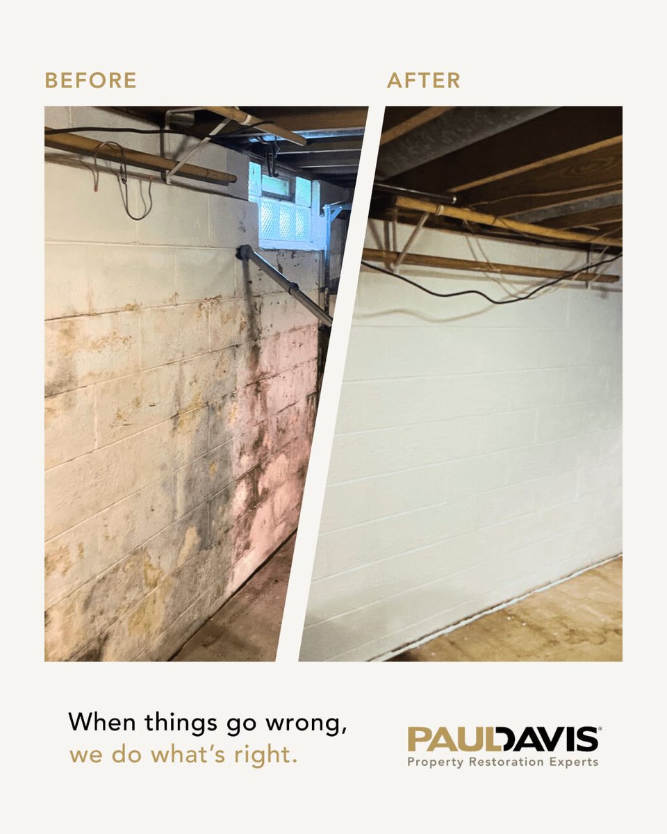 PaulDavisMSP's tweet photo. This basement went from mold-affected to clean, dry, and healthy thanks to quick action and expert restoration. 💧➡️✨

If you’re noticing dampness, musty odors, or signs of mold, don’t wait. 

#MoldPrevention #WaterDamage #PaulDavisRestoration https://t.co/oqPKe54DsC