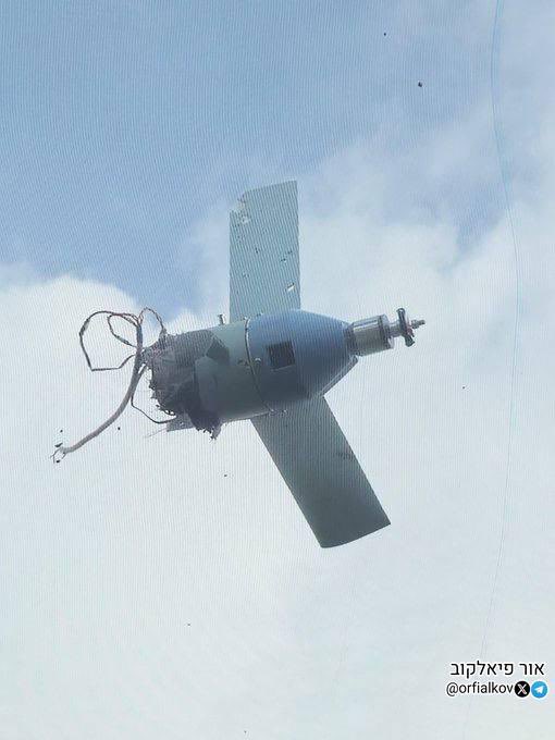 אור פיאלקוב tweet media
