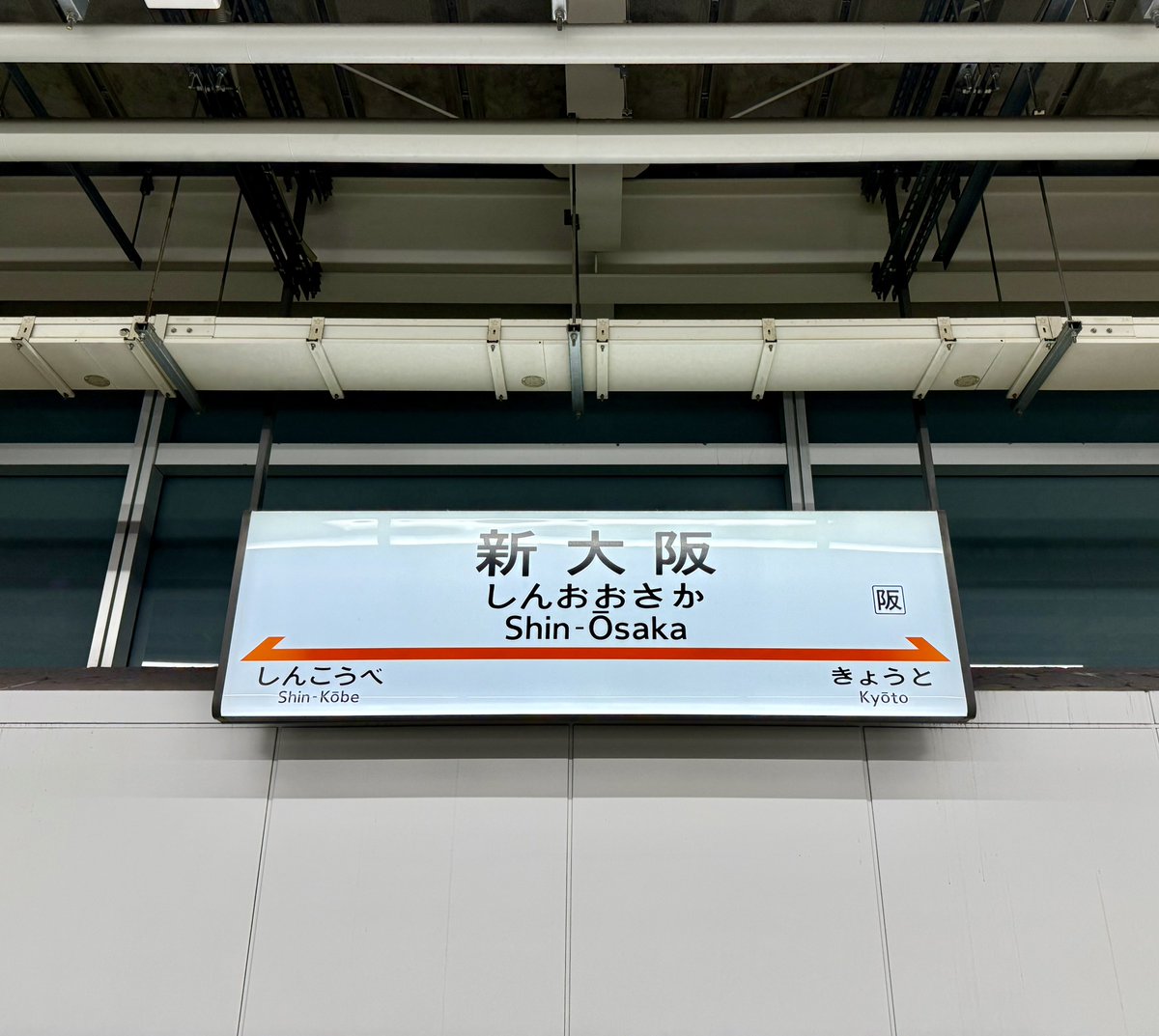 こぶし tweet media