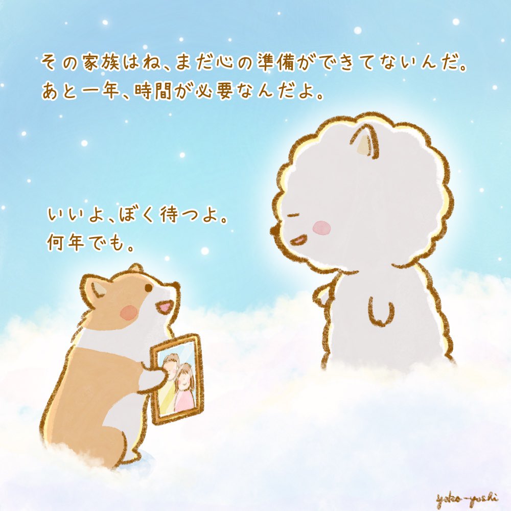 yoko-yoshi tweet media