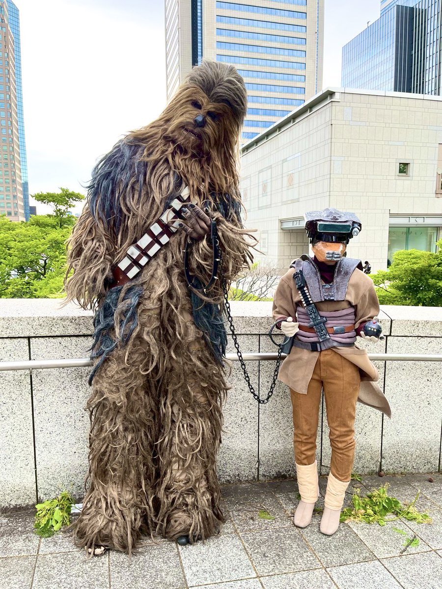 boushh tweet media