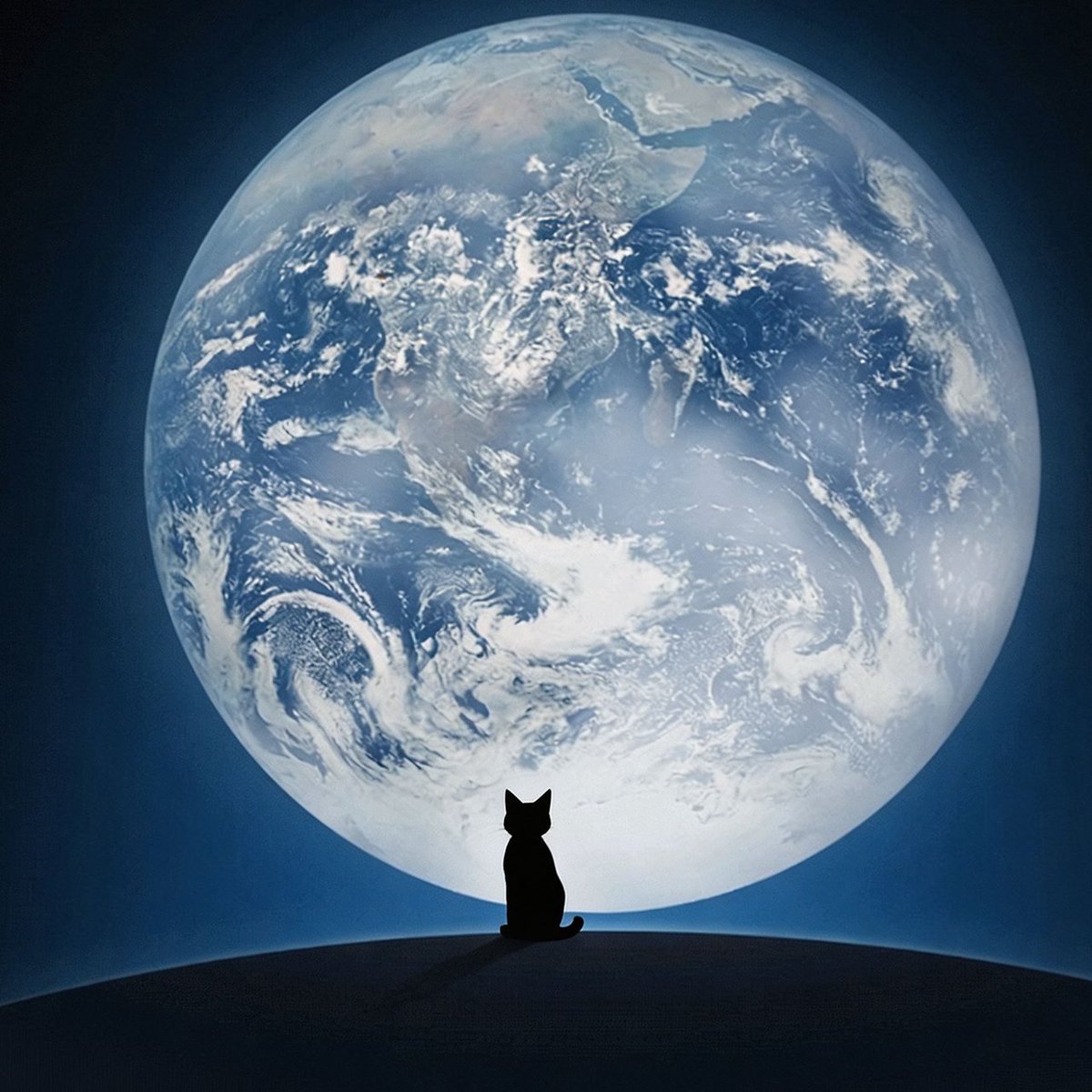 VerdantTrace's tweet image. A small soul in a very big world 🌍🐾

#VerdantTrace #CatLife #PetLifestyle #DreamyMood