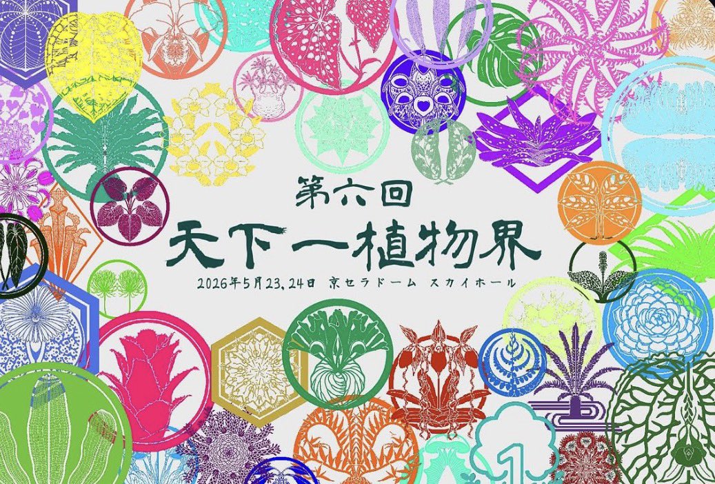 トリハダプランツ/ティランジア園芸 (@CorkRoots) / Posts / X
