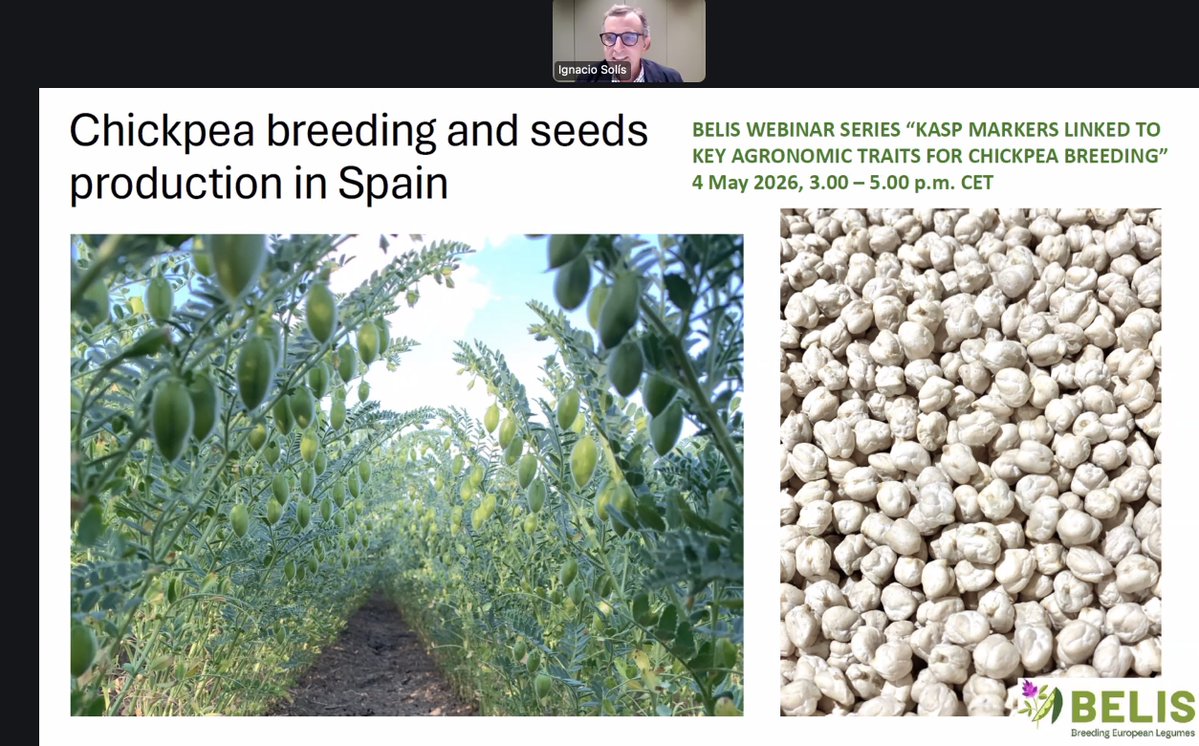 jdieramon's tweet image. What a great seminar by @SolisMIgnacio ! 🌱
Chickpea breeding and seed production truly show how public research, private companies, and cooperatives working together can drive innovation, resilience, and better outcomes for farmers. #Agriculture #Seeds #Collaboration
@BELIS_EU