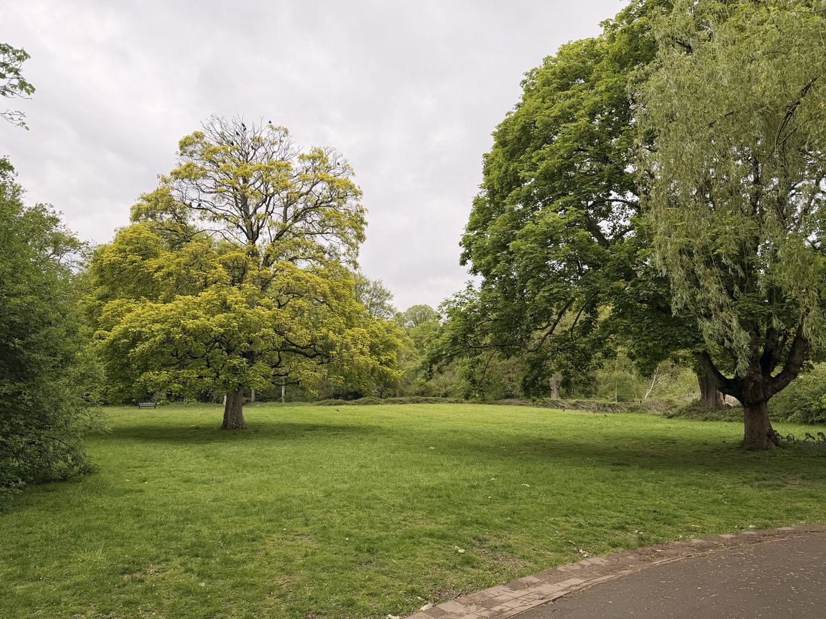 NatCBrooks's tweet image. Highbury Park 🌲🪵🌺🌳🌼
#highburypark #kingsheath #nature #relaxed #chamberlainhighburytrust @highburypark @CHighburyTrust