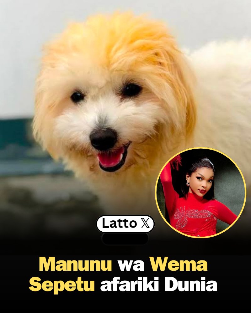 Latto 𝕏 tweet media