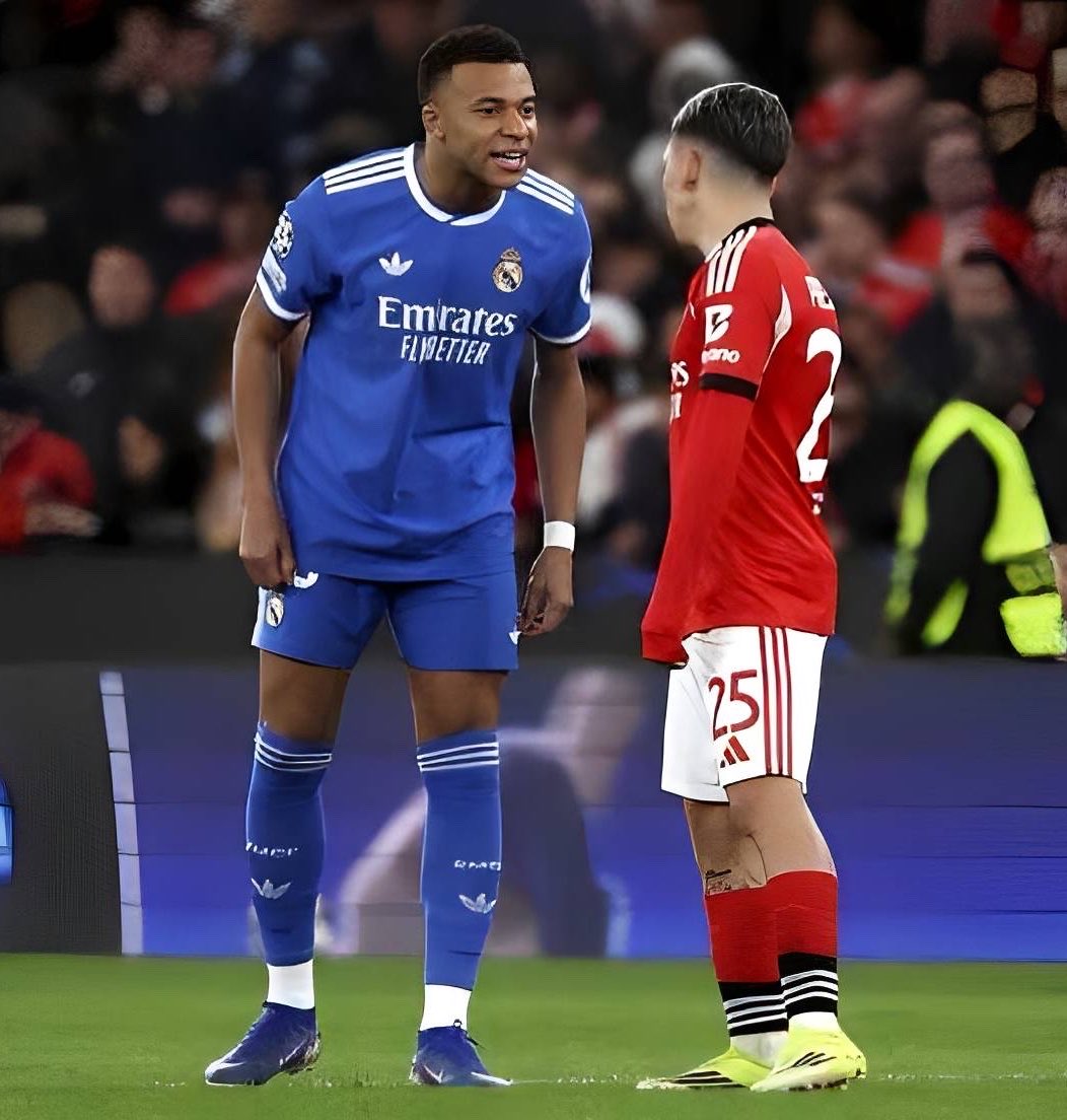 (𝐟𝐚𝐧) 🇵🇹 tweet media