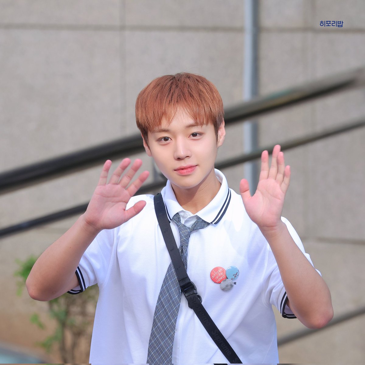 훈지의히포리밥👽🐰 tweet media