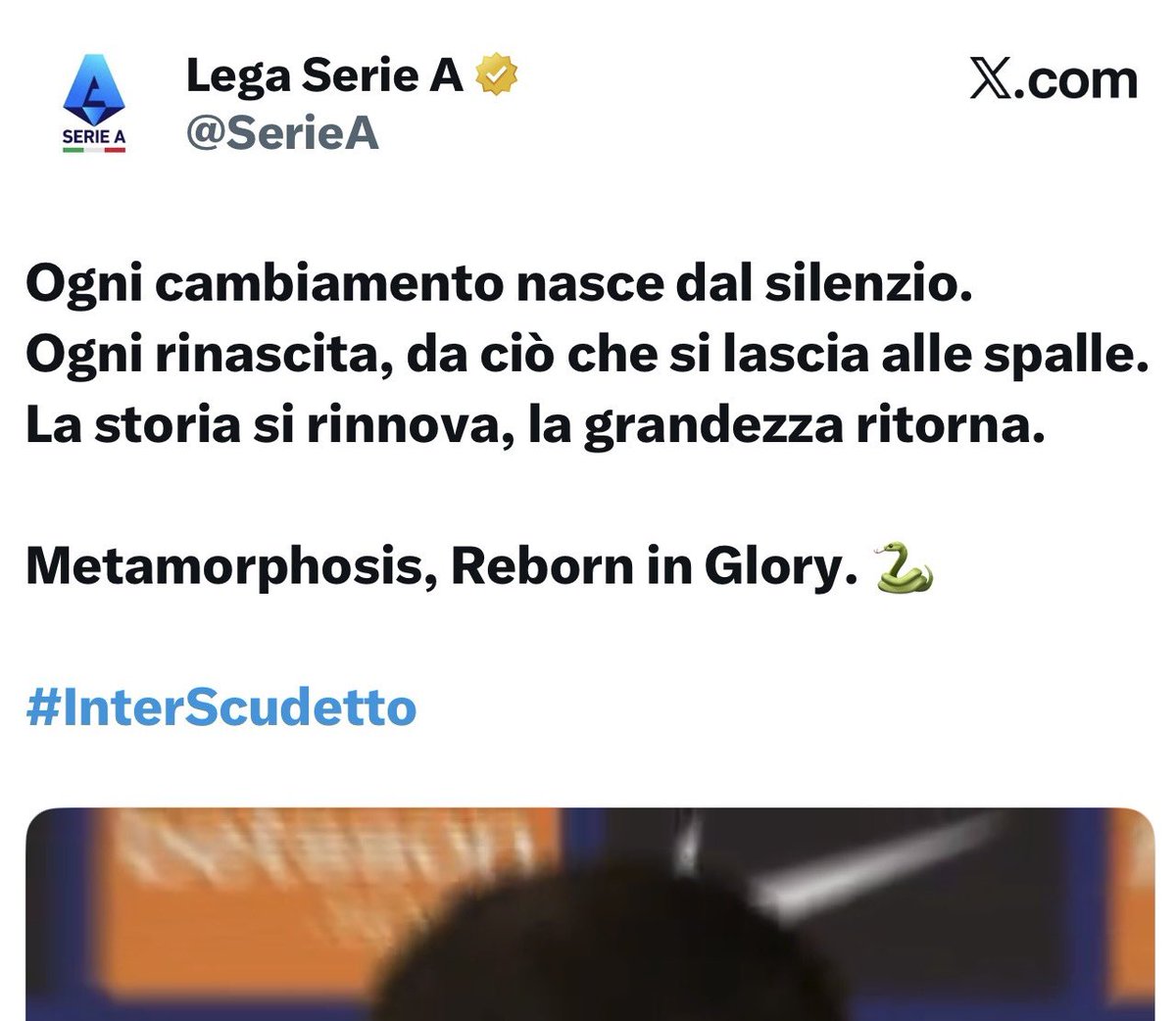 Diego De Luca tweet media