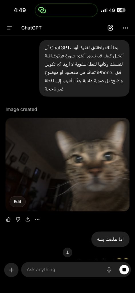 🦢🪷 tweet media