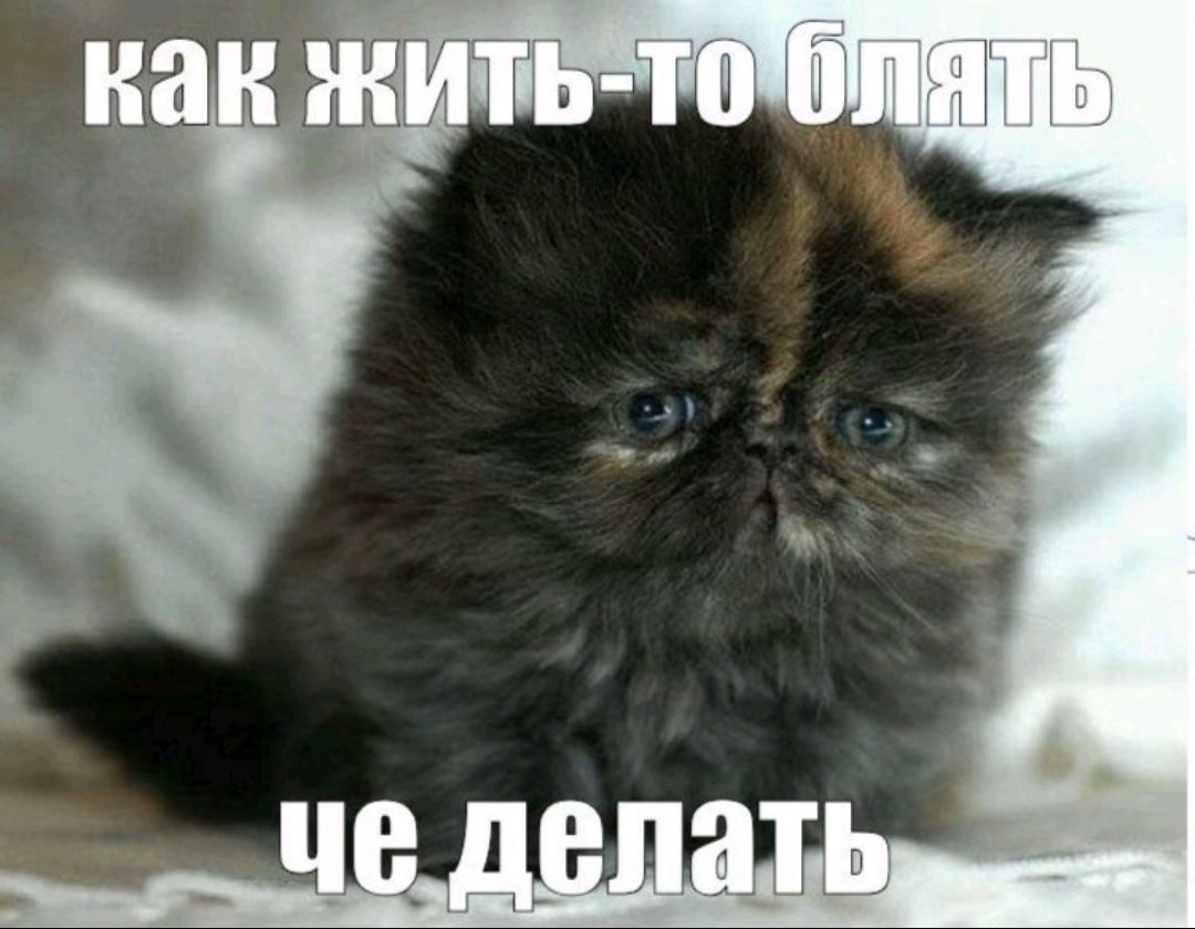элин tweet media