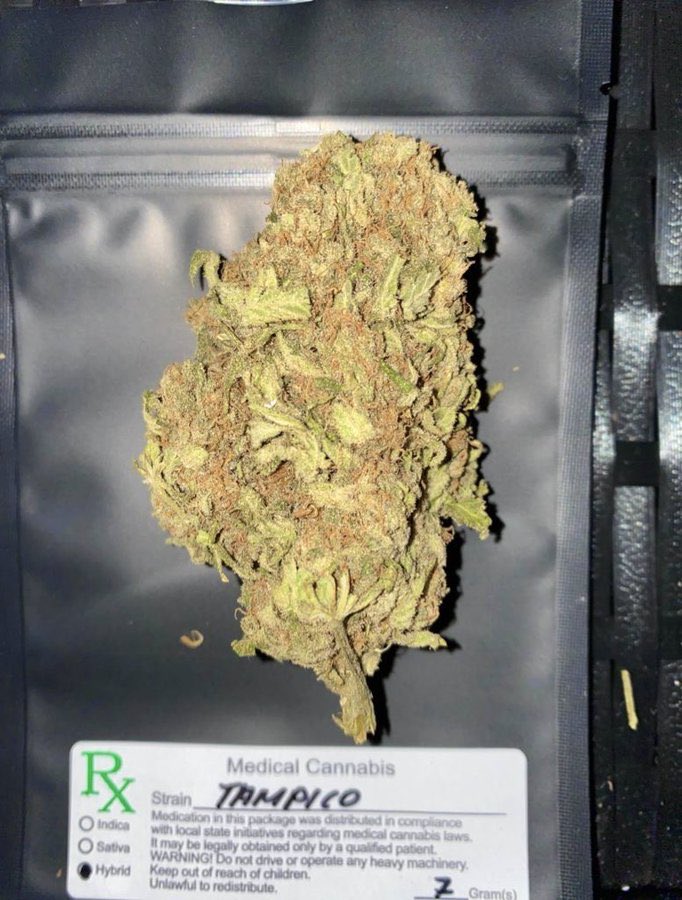 stunner_shops's tweet image. Tampico strains treat symptoms of chronic pain, epilepsy, multiple sclerosis, and nausea from chemotherapy. Prescribed by doctors for qualifying conditions. #weed #ineedweed #bud
