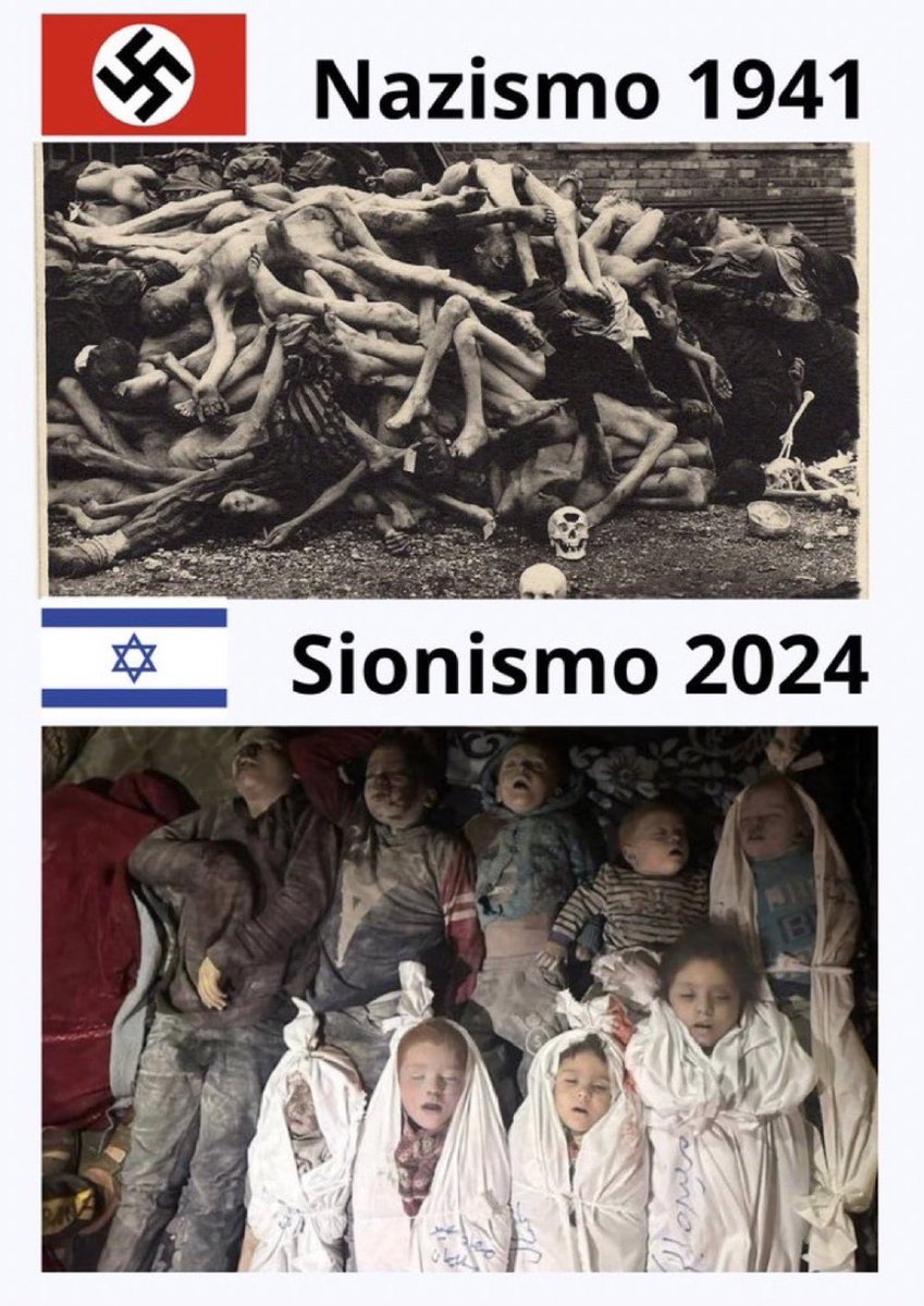 Medusa tweet media