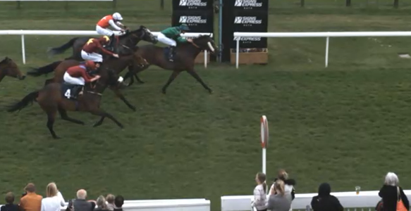 Racing Point Tips 🏇 tweet media