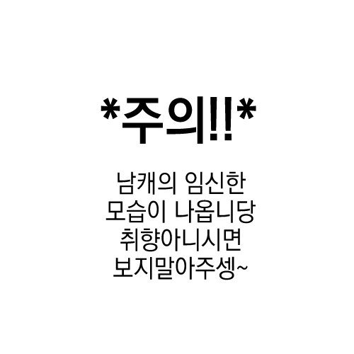 차다🌙 tweet media