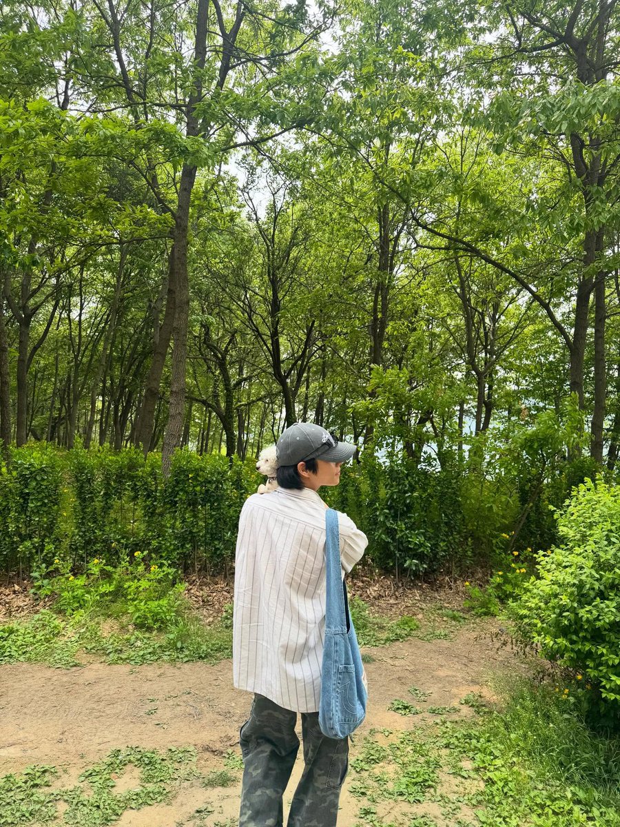 엠제이의 모든 것 tweet media