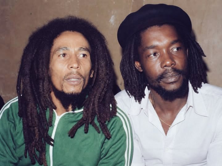 luna marley 🚥 tweet media